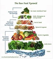 Image result for What Is a Raw Vegan Diet