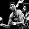 Image result for American Basketball Association