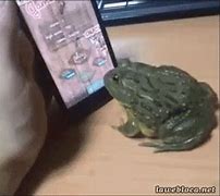 Image result for Pepe Frog Crying GIF