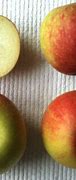 Image result for Small Red Striped Apple