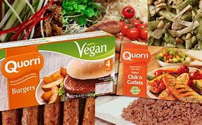 Image result for Vegan Meat Alternatives