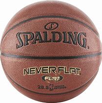 Image result for Indoor/Outdoor Basketball