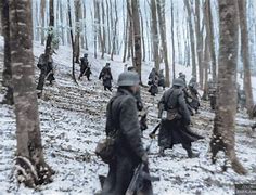Image result for Luxembourg Volkstrom Grenadiers WW2
