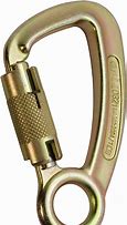 Image result for Locking Carabiners for Climbing