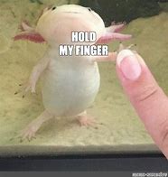 Image result for Hold Finger It Meme