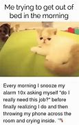 Image result for Cat Alarm Meme