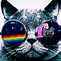 Image result for Hipster Galaxy Cat Wallpaper