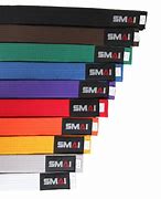 Image result for Types of Karate Belts