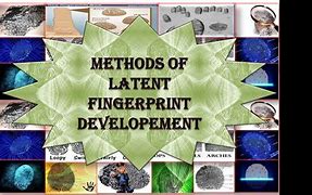 Image result for Latent Fingerprint Development