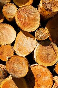 Image result for Wood Log Side