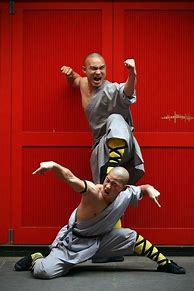 Image result for Kung Fu vs Pro Boxing