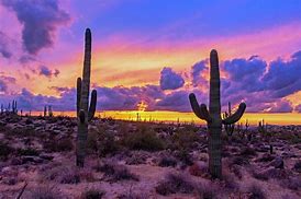 Image result for Desert Landscape with a Red Sky