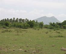 Image result for Land