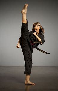 Image result for cynthia_rothrock