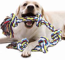 Image result for Dog Toys for Male