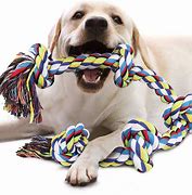 Image result for Chew Toys