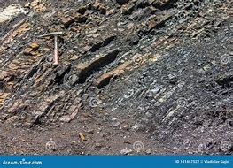 Image result for geol�gico