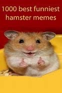 Image result for Hamster On iPod Meme