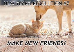 Image result for Pet New Year Resolution Imgflip
