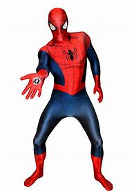 Image result for Spider-Man Costume Adult