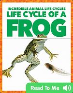 Image result for Frog Life Cycle Book