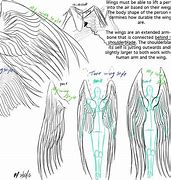 Image result for Folded Wings Human