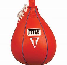 Image result for Title F Bh G 100 Heavy Bag