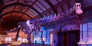Image result for Titanosaur Life as the Biggest Dinosaur
