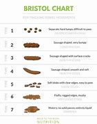 Image result for Measuring a Bowel Movement with Ruler