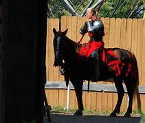 Image result for Knight Armor Costume