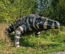 Image result for Megalania Lizard