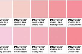 Image result for Plain Light Pink Color