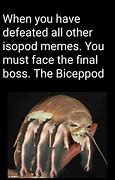 Image result for Isopod Rupert Meme