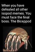 Image result for Isopod Sunday Meme