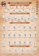 Image result for Basic Karate Moves Kata