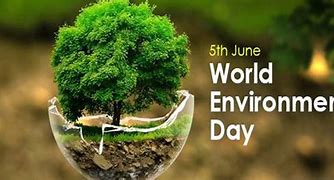Image result for Wordle About Environment