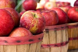 Image result for Fall Apples