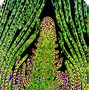 Image result for Cactus Cell
