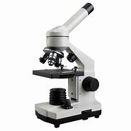 Image result for Compound Light Microscope