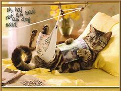 Image result for Speedy Recovery Wishes Funny