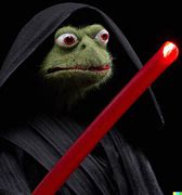 Image result for Sith Kermit