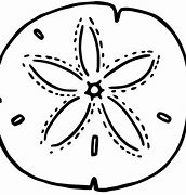 Image result for sand dollars color pages