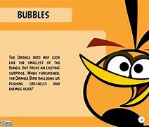 Image result for Bubbles Bird Meme