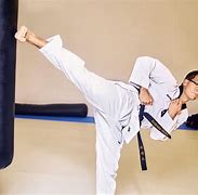 Image result for Top Martial Arts