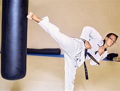Image result for martial arts