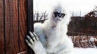 Image result for Yeti Animal Real