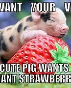 Image result for Big Pig Meme