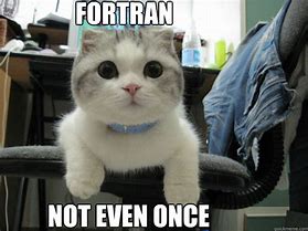 Image result for Fortran Meme