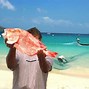 Image result for Seine Fishing