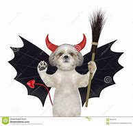 Image result for Bat Dog Mix